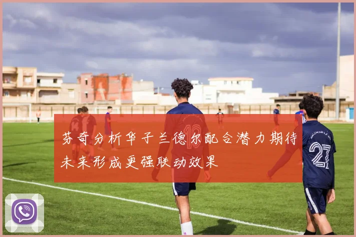 芬奇分析华子兰德尔配合潜力期待未来形成更强联动效果